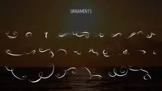 500 Hand Drawn Elements Pack - After Effects Template