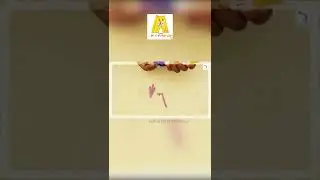 #Shorts | Quilling Stripes Ear Rings | Quilling Tutorial | Quilling Earrings | Alpha Do It Yourself