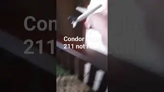 condor flight 211 (not real) passanger:50 survivors :2 death :48 #crashlanding #aviation