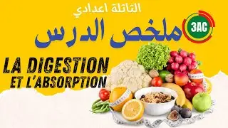 ملخص الهضم والامتصاص