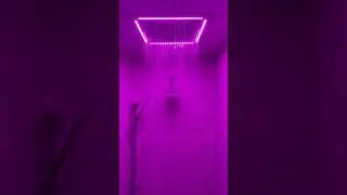 HydroVive in Action!