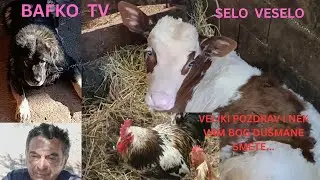 EVO NAS NA FARMI - RADIMO LI RADIMO. VELIKI POZDRAV @BAFKO TV69.