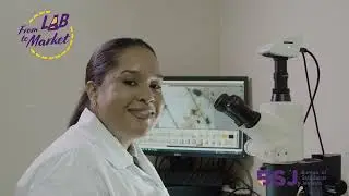 From Lab To Market