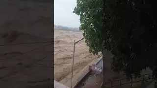26/08/2025 JAMMU TAWI 🤕 HEAVY RAINFALL 🌧️ IN JAMMU | #shorts #rain #jammu #viralvideos #heavyrain