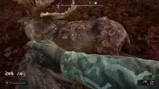 STALKER 2 GAMEPLAY PART 13