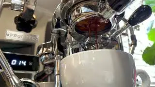 Profitec Pro 600 Bottomless Extraction