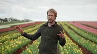 David Roberts-Thomson talks tulips