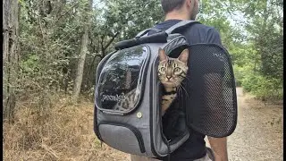 Is This the BEST Bubble Backpack for Cats? Unboxing & First Look!  #pecute #petgrooming