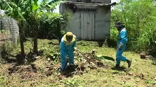 Shocking Cleanup: Giant Python Lurking in Abandoned House Strikes Back Cleanup
