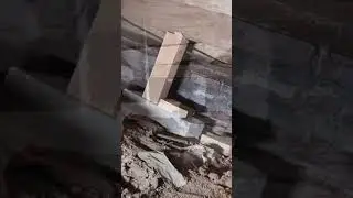 piar and beam crawl space inspection #home #Construction#leveling#Houseleveling#foundation #build