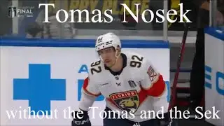 Tomas NOsek