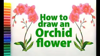 How to draw an orchid flower / Orchid flower drawing tutorial
