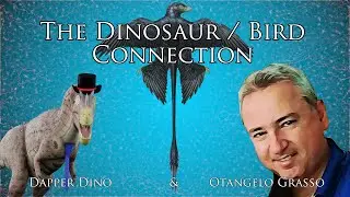 The Dinosaur/Bird Connection: Dapper Dino & Otangelo Grasso