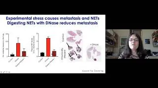 Mikala Egeblad Science Talk: &ldquo;NETs in Flames: Neutrophil Extracellular Traps in Disease&rdquo;