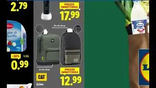 LIDL OFFERTE A PREZZO AFFARE? VEDIAMO INSIEME