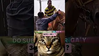 --999 aura #funnycats #shorts #memes #edit