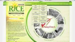 Insights about Pinoy Rice Knowledge Bank