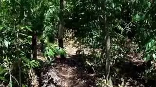 Abaco video tour - adventure 2013