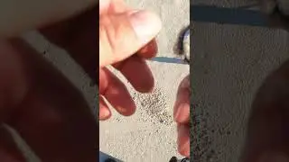EQUINOX 700 DOES IT AGAIN! Silver Ring Found in Wet Sand