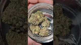 Khalifa mints