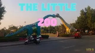 The Little Zoo | Bahria Orchard Lahore