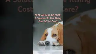 Free Animal Doctor: A Solution to the Rising Cost of Vet Care? #pethealth #petcare #veteducation