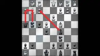 Luchini gambit opening trap for black part-1