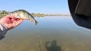 Ловить в моменте!