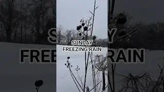 Snow Storm 2026 Freezing Rain #kentucky #snow #articair