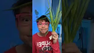 🖐 Fun Food Learning! Taste and Texture for Kids 😋 #learn #kids