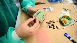 2 Placing the Pins