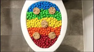 Will it Flush? - Rainbow M&Ms, Coca Cola, Fanta, Skittles, Candy, Pepsi