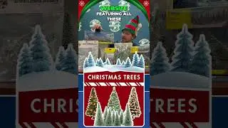 Christmas & Winter Trees