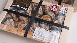 Episode 6: Packaging & Traceability