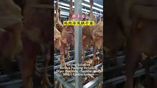 hello river brand meat drying room beef drying machine biomass wood pellet fuel heating fish oven