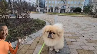 Bobo Goes to Hotel (Bob Nararation)