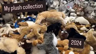 Dog and Wolf Plush Collection 2024! 1000+ plush