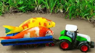 Trucks Rescue KOI Fish Under Mud Experiment Primer Mud | Fun Animation | Stop Motion Cooking & ASMR