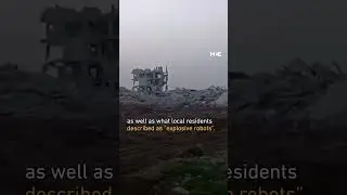 Israeli forces dug up approximately 200 Palestinian graves while searching for hostage remains