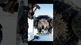 Frozen Eagle Trapped in Ice 🧊 #viral #shortvideo