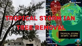 Tropical Storm Ian - Tree Removal (preventative)
