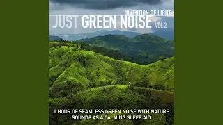 Summer Night in the Country with Green Noise