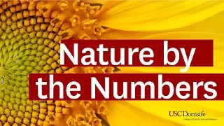 The Mathematics Behind Pineapples, Snowflakes and Beyond