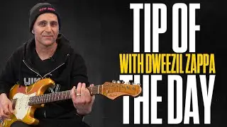 Dweezil Zappa - 