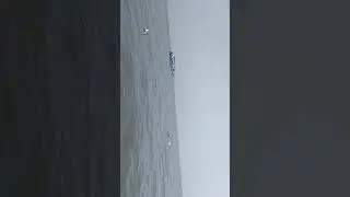 Chilika lake
