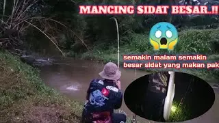 BIKIN GEMETAR‼️MANCING SIDAT BESAR DISAAT SUNGAI BANJIR//EEL FISH//BIG EEL