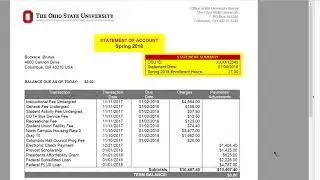 Viewing the Statement of Account