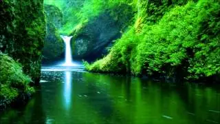 Brand X Music - Forgotten World