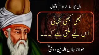 21 Kadwi Haqeeqat Jo Zindagi Badal Dein! #rumiaqwal #aqwalezareen #urduaqwal #maulanarumikeaqwal