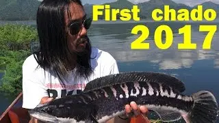 NoobAngler wants a snakehead part II